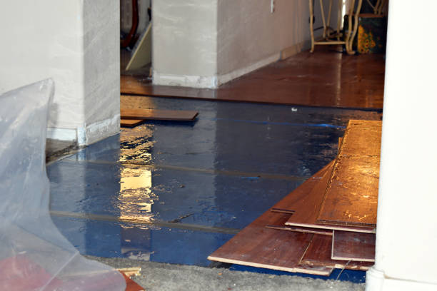 Professional Flood Damage Restoration technician working in Madison, NH